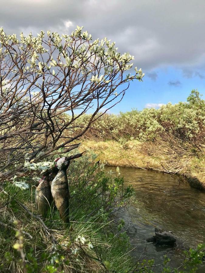 شقة Oppdal Alpintun المظهر الخارجي الصورة